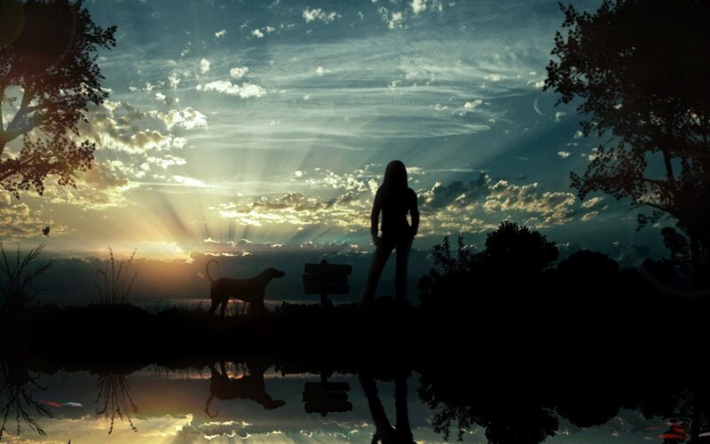 Silhouette of person and dog at sunset