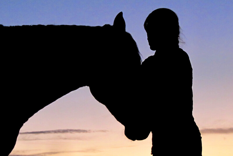Silhouette of Person and Horse — Blue