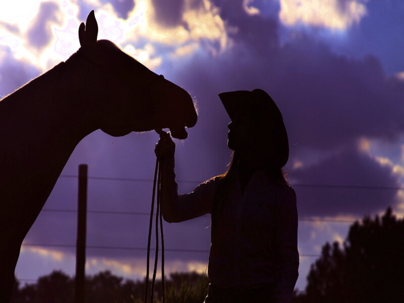 Silhouette of Person and Horse — Purple, Dramatic