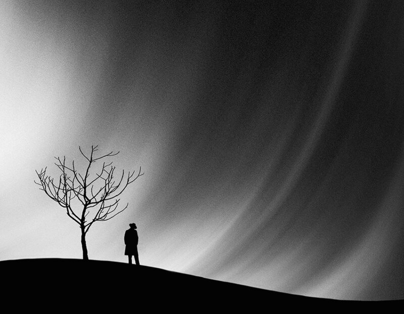 Silhouette of Person and Tree — Black, Dramatic, Night