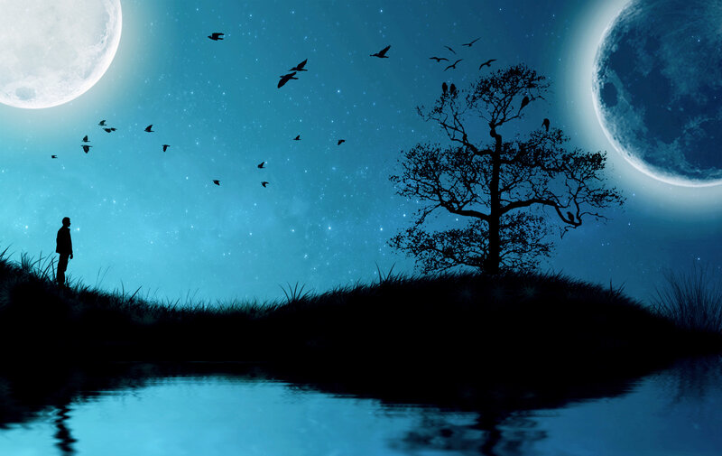 Silhouette of Person and Tree — Blue, Serene, Night, Digital Art, Moon
