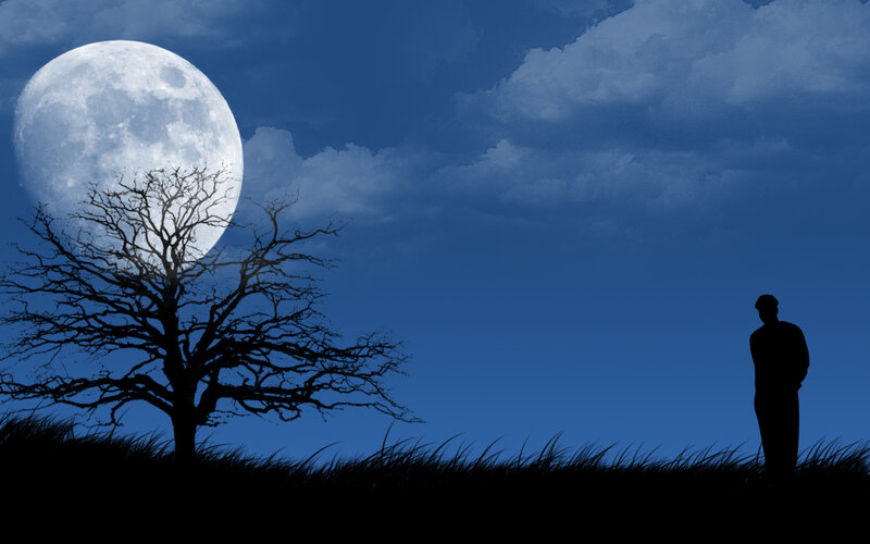 Silhouette of Person and Tree — Blue, Serene, Night, Digital Art