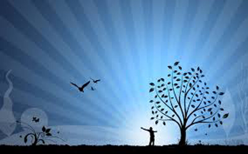 Silhouette of Person and Tree — Blue, Serene, Sunset