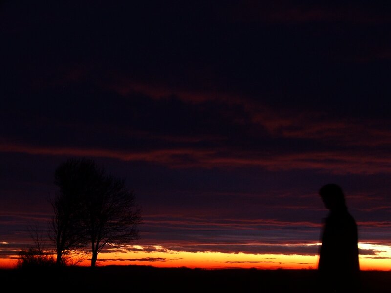Silhouette of Person and Tree — Orange, Dramatic, Sunset, Photograph, Sky