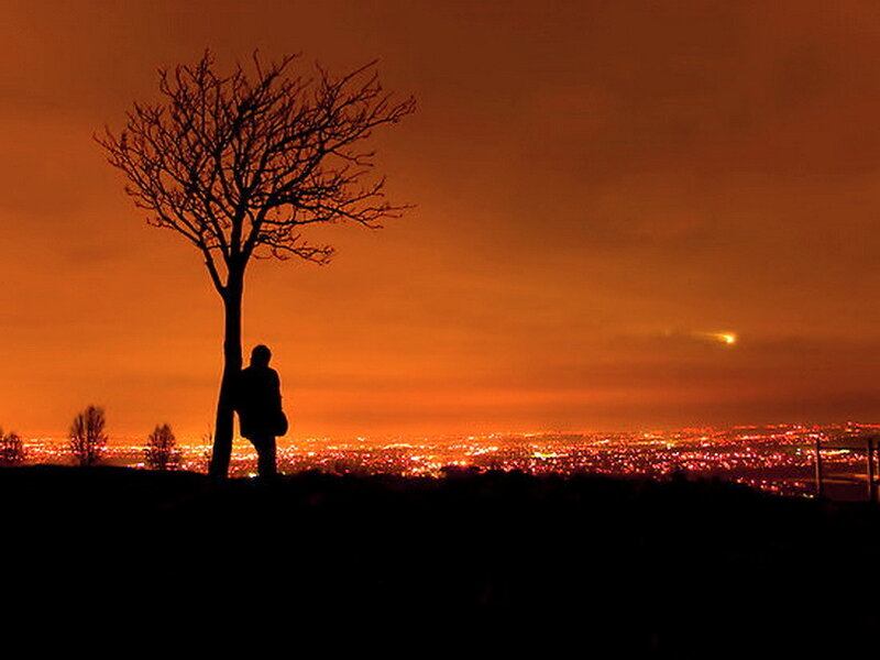 Silhouette of Person and Tree — Orange