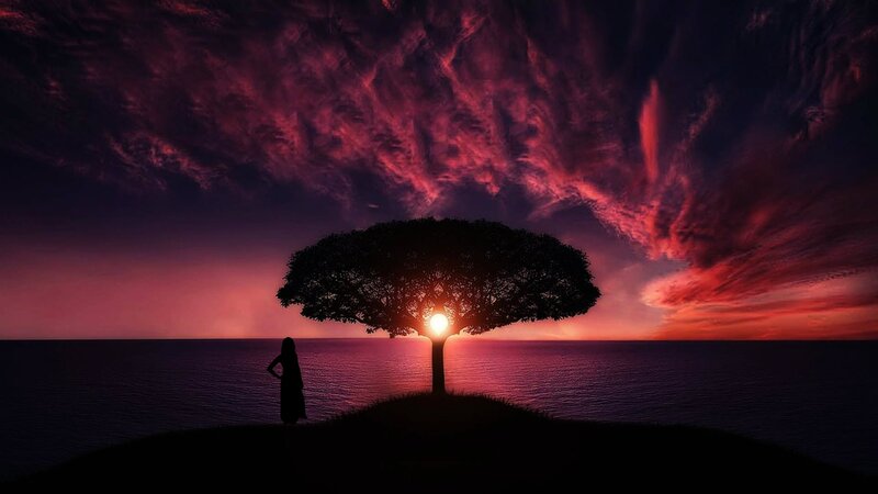 Silhouette of Person and Tree — Purple, Dramatic