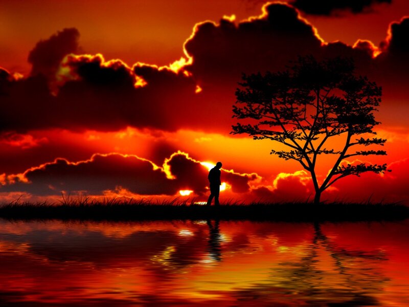 Silhouette of Person and Tree — Red