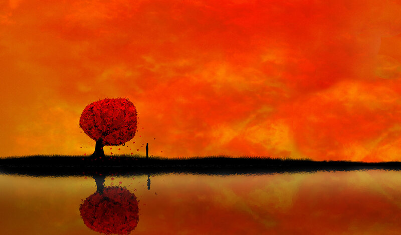 Silhouette of Person and Tree