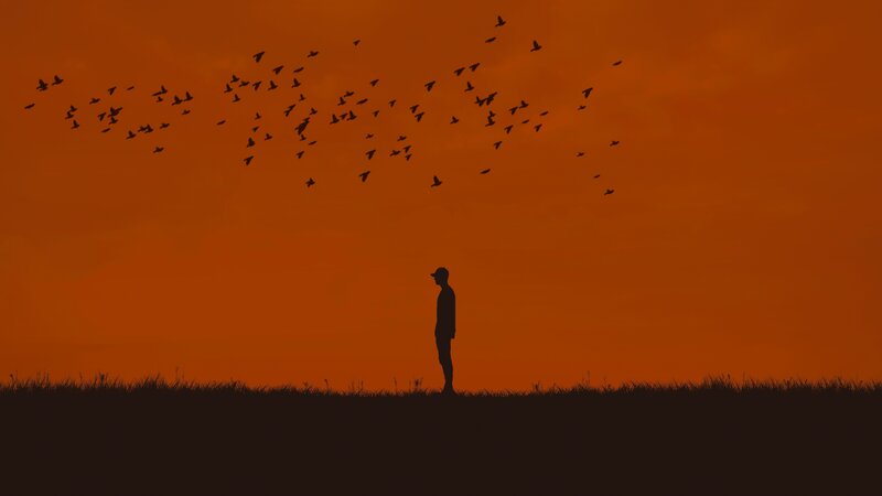 silhouette of person at sunset