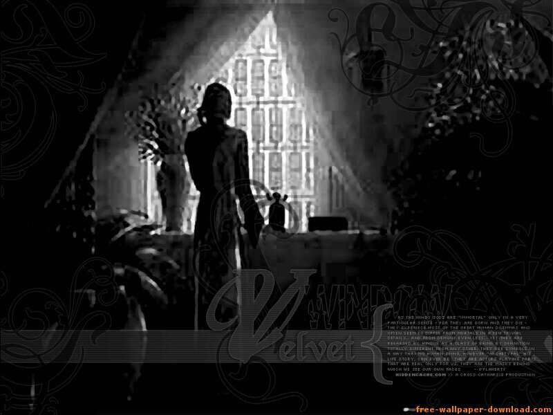 Silhouette of Person at Window — Black, Dramatic