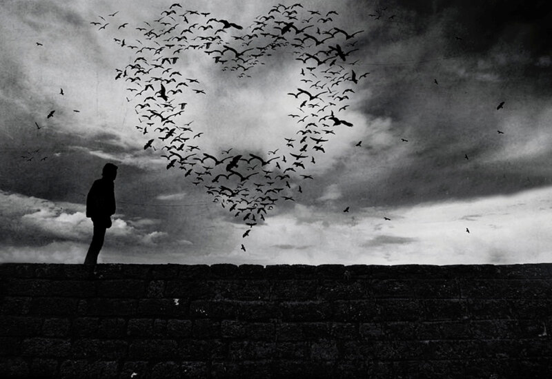 Silhouette of Person — Black, Dramatic, Photograph, Birds