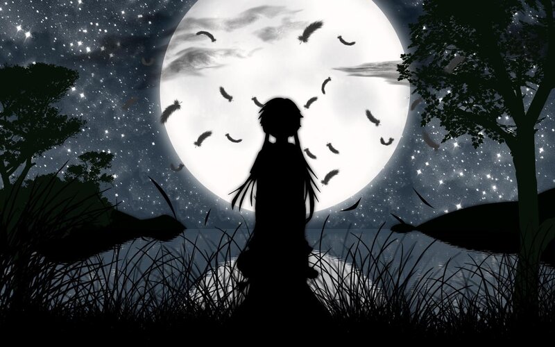 Silhouette of Person — Black, Serene, Night, Digital Art, Moon, Feathers