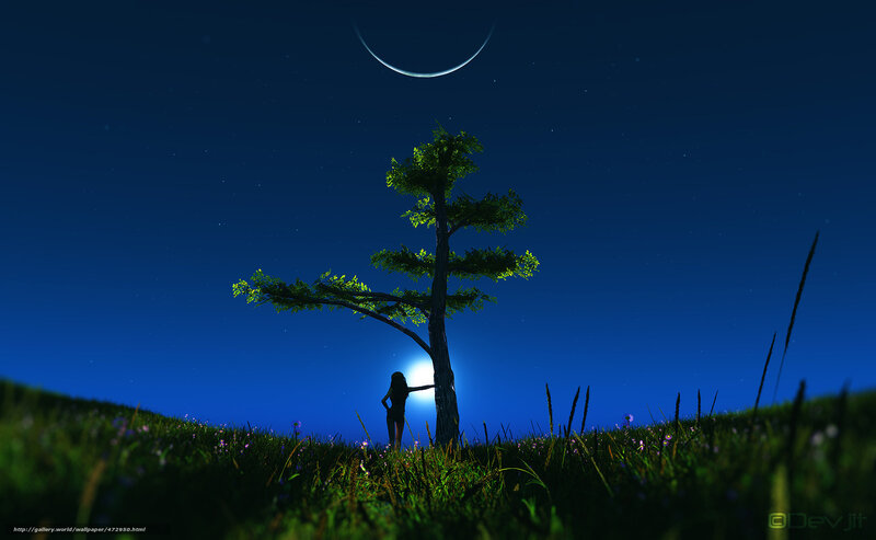 Silhouette of Person by Tree — Blue