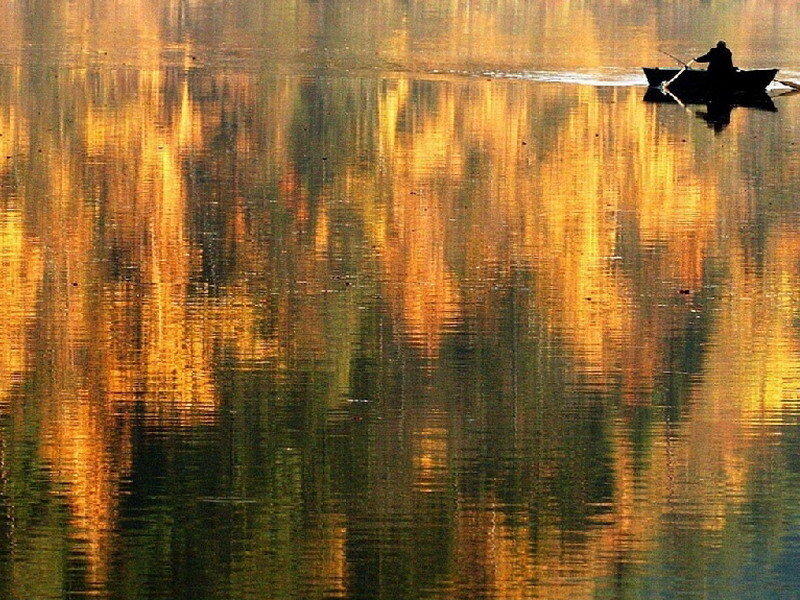 Silhouette of Person in Boat — Gold