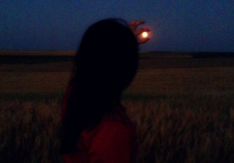Silhouette of Person in Field — Black, Dark