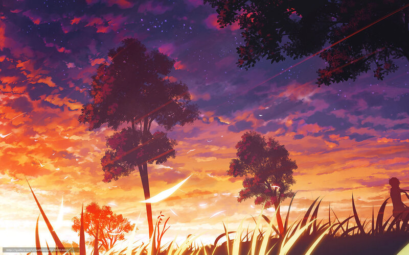 Silhouette of Person in Field — Orange, Serene, Sunset