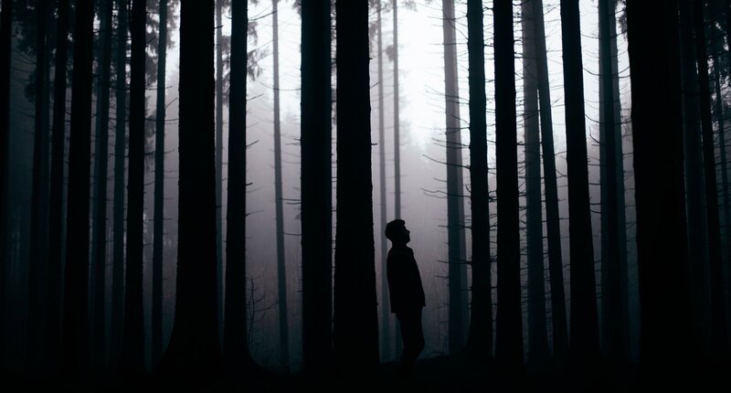 Silhouette of Person in Forest — Black, Mysterious, Night, Photograph, Trees