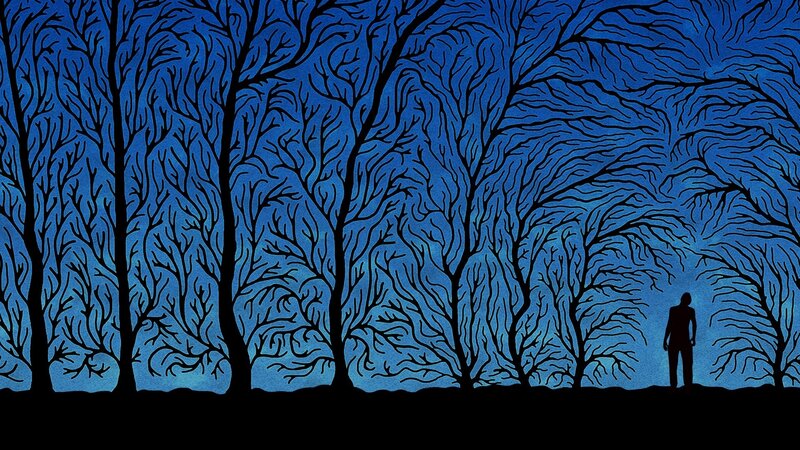 Silhouette of Person in Forest — Blue, Somber, Night, Illustration, Trees