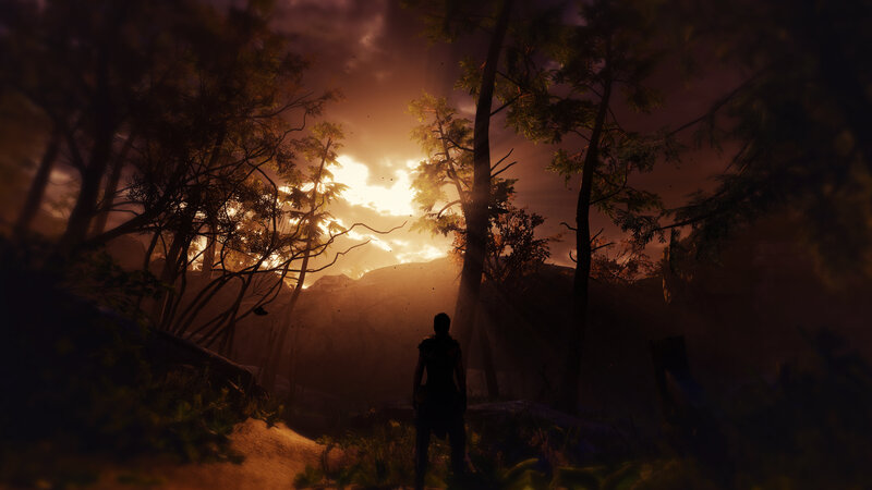 Silhouette of Person in Forest — Orange