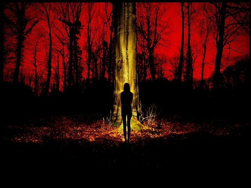 Silhouette of Person in Forest — Red