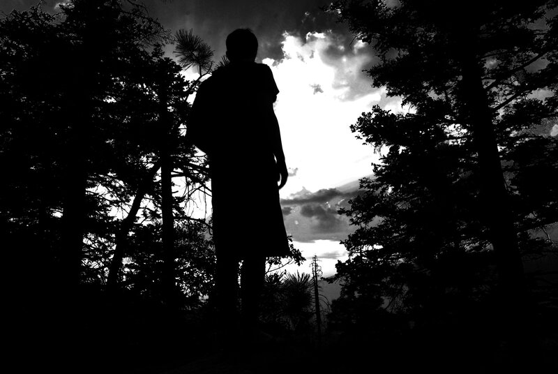 Silhouette of person in forest