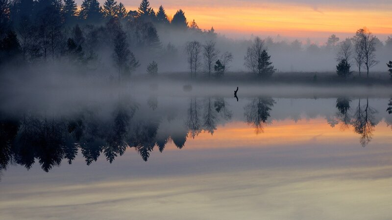 Silhouette of Person in Mist