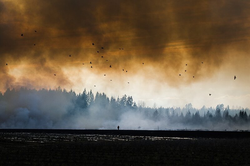 Silhouette of person in smoky field