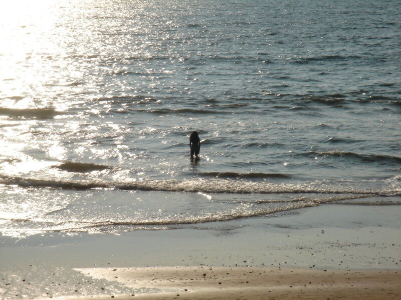 Silhouette of Person in Water — Blue