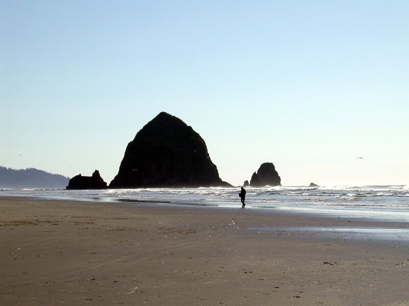 Silhouette of Person on Beach — Blue, Serene, Afternoon