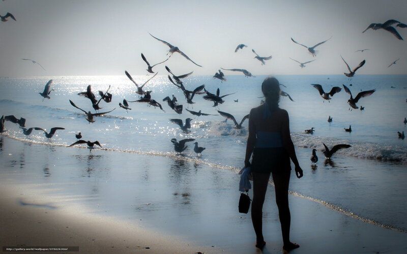 Silhouette of Person on Beach — Blue, Serene, Morning