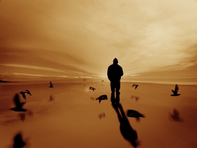 Silhouette of Person on Beach — Brown, Dramatic