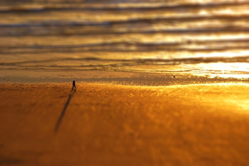 Silhouette of Person on Beach — Gold, Serene, Sunset