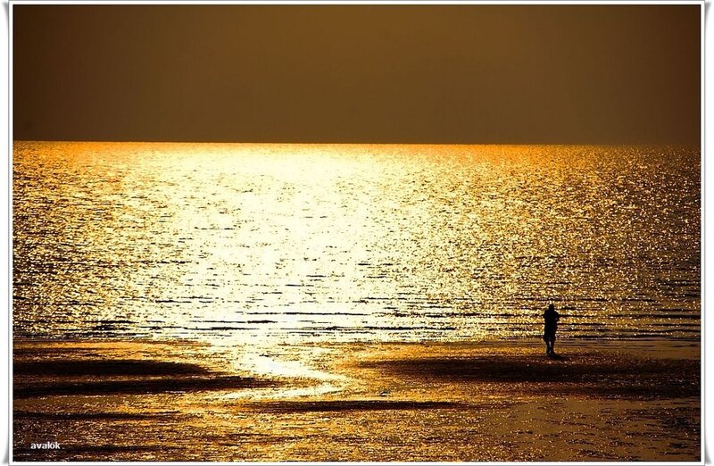 Silhouette of Person on Beach — Gold, Serene