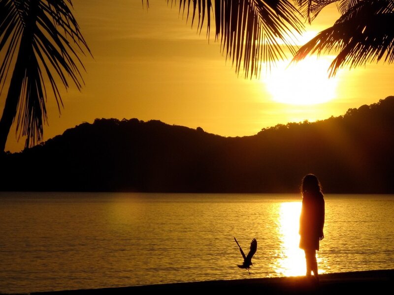 Silhouette of Person on Beach