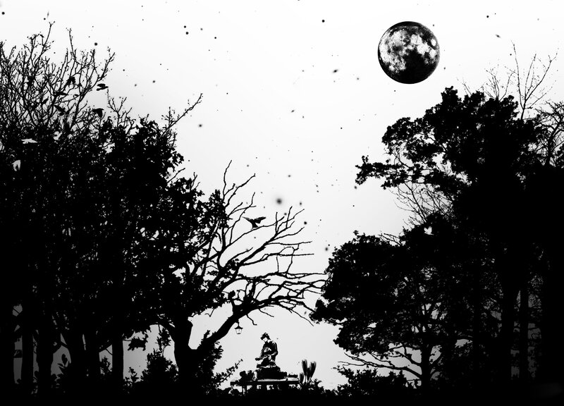 Silhouette of Person on Bench — Black, Dramatic