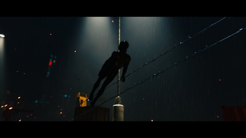 Silhouette of Person on Wire — Black