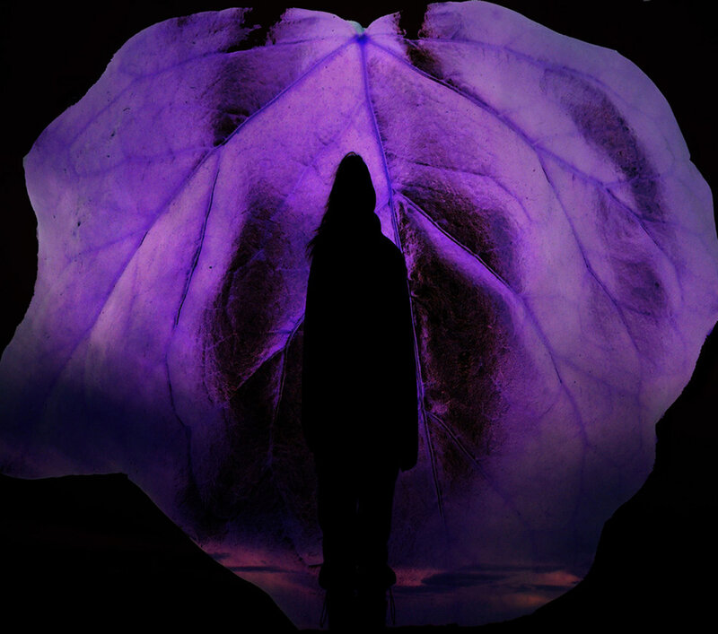 Silhouette of Person — Purple, Dramatic