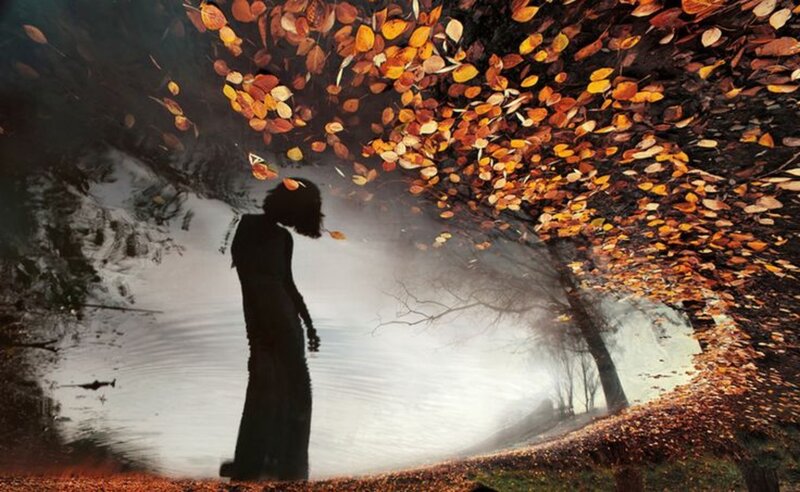 Silhouette of Person under Leaves