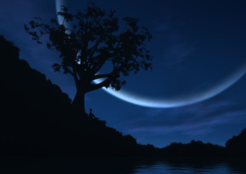 Silhouette of person under tree at night
