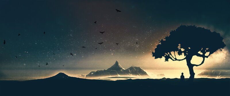 Silhouette of Person under Tree — Black, Serene, Night, Digital Art