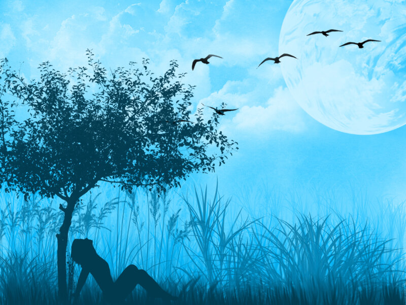 Silhouette of Person under Tree — Blue, Serene, Night, Digital Art, Birds