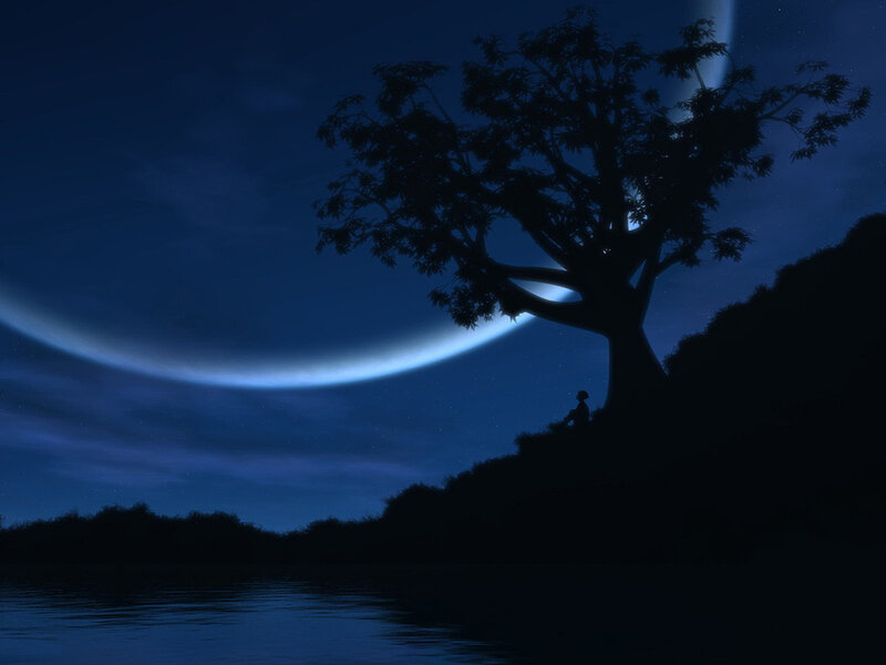 Silhouette of Person under Tree — Blue, Serene, Night, Digital Art