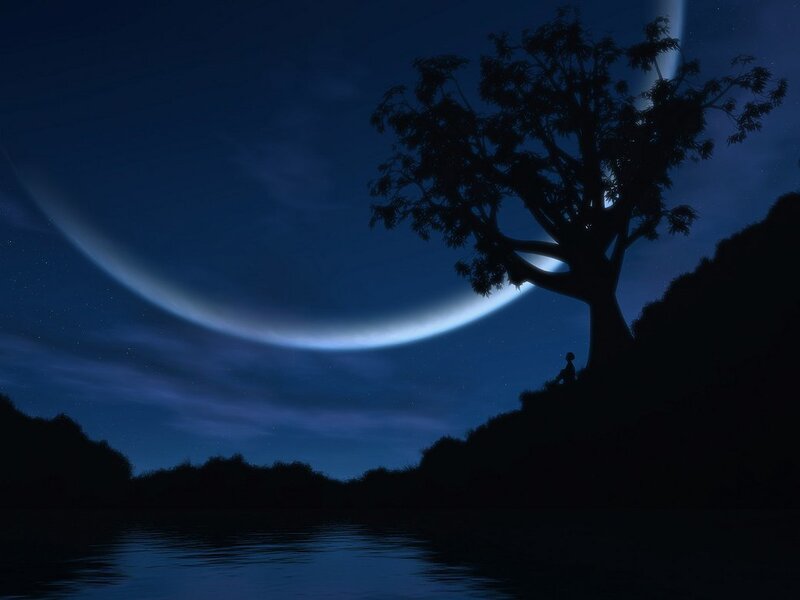Silhouette of Person under Tree — Blue
