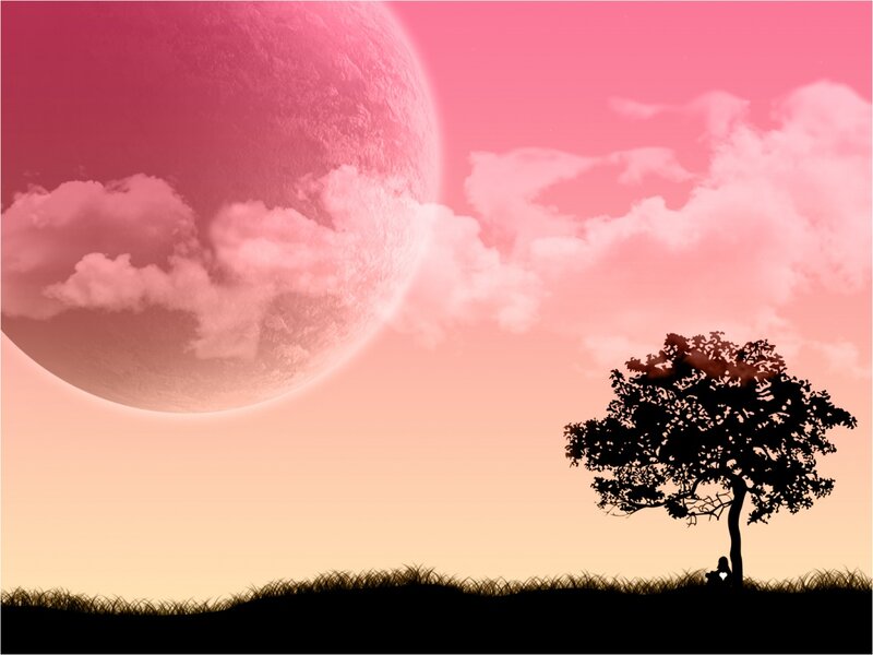 Silhouette of Person under Tree — Pink