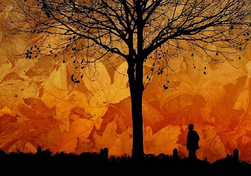 Silhouette of person under tree