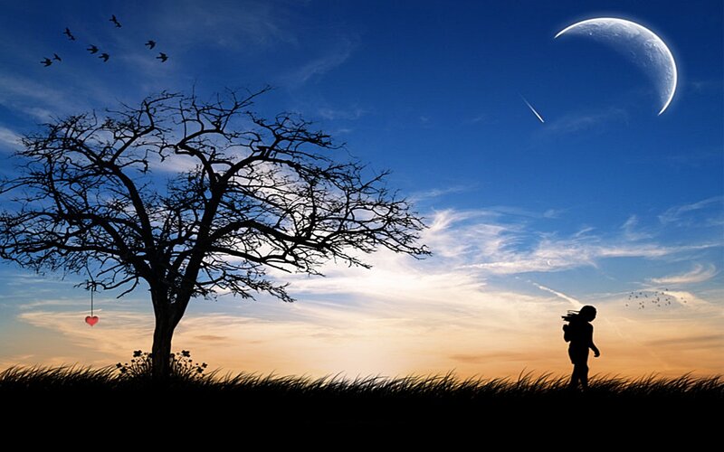Silhouette of person walking at sunset