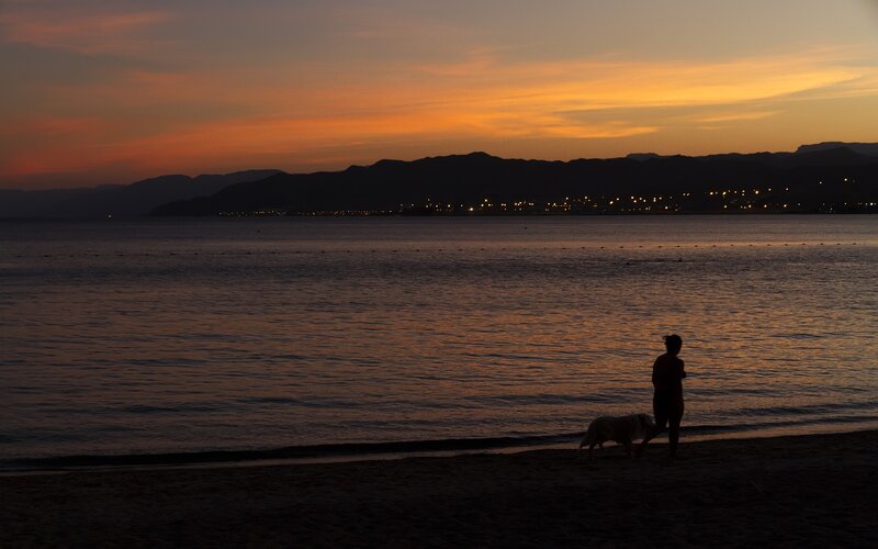 Silhouette of person walking dog at sunset