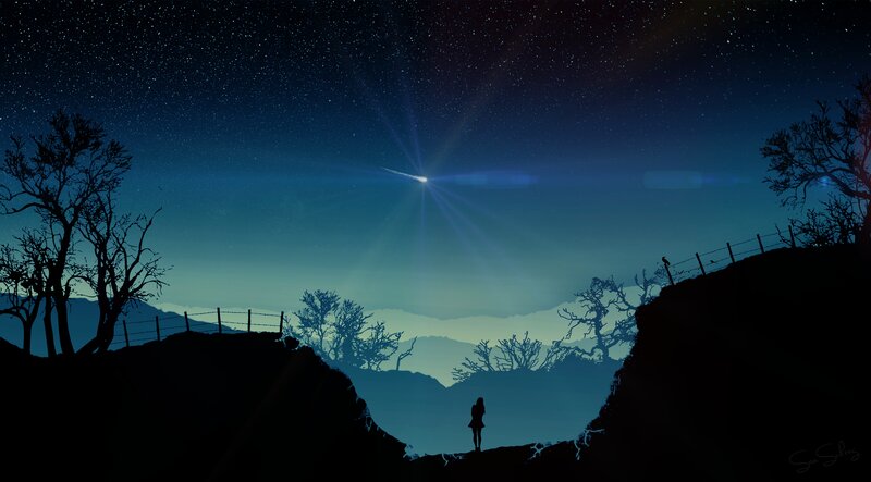 Silhouette of Person Watching Meteor