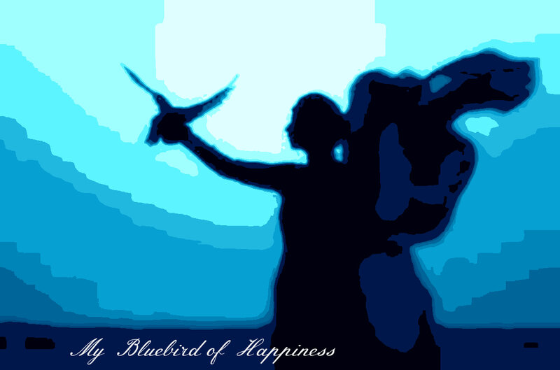 Silhouette of Person with Bird