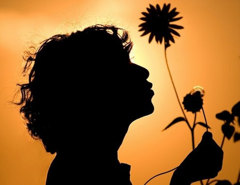 Silhouette of Person with Flower